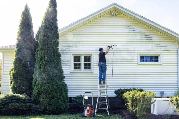 Best Roof Pressure Washing  in Finneytown, OH